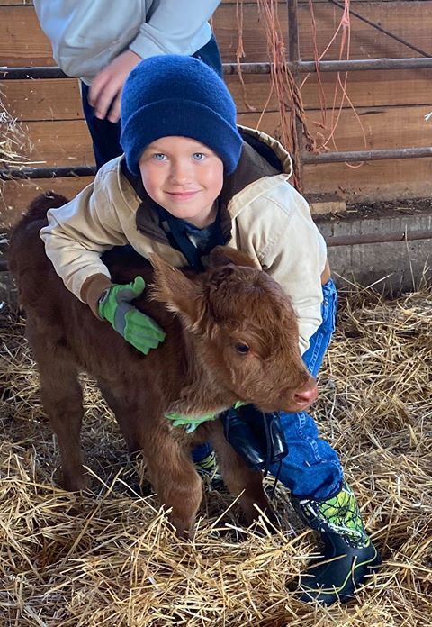 New calf
